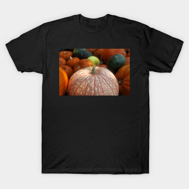 Fall harvest T-Shirt by dltphoto